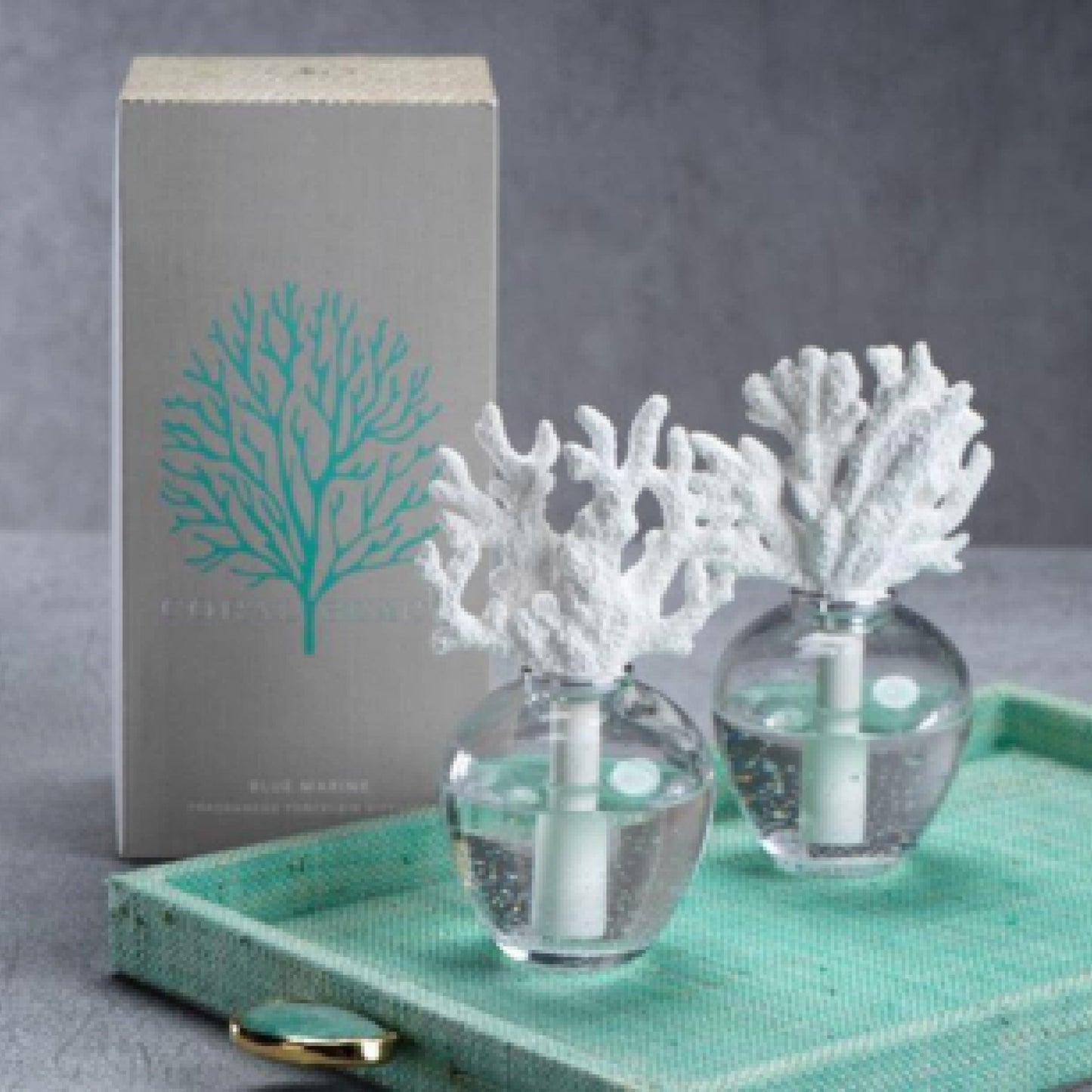 Coral Beach Porecelain Diffuser