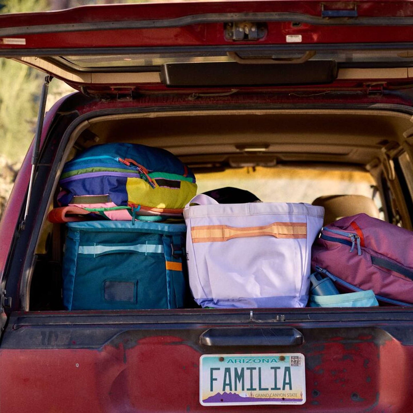 Allpa Gear Hauler Tote