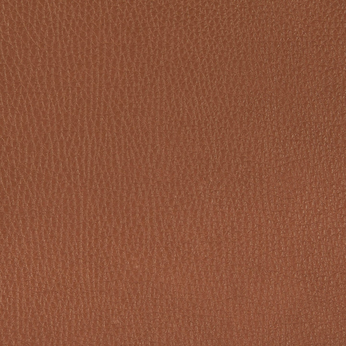 freifrau | leya lounge chair | wire frame | cairo cognac leather