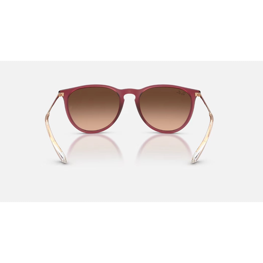 RAYBAN - ERIKA | Polished Rubber Violet w/ Pink Gradient Brown