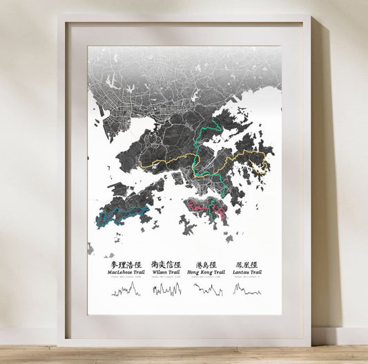 Immortalise your Run with a Custom Poster