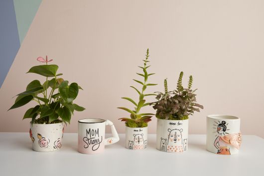 MATRIARCH POT