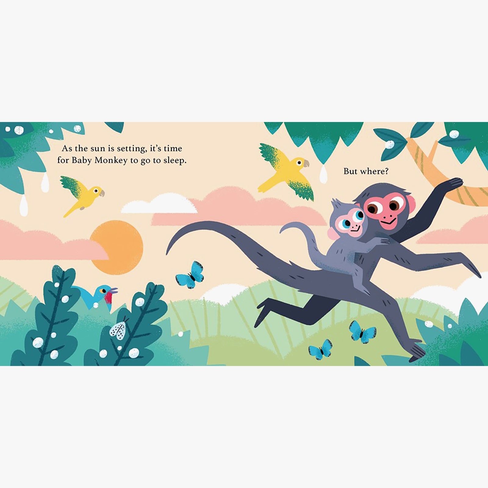 Can I Sleep Here? Baby Monkey Board Book