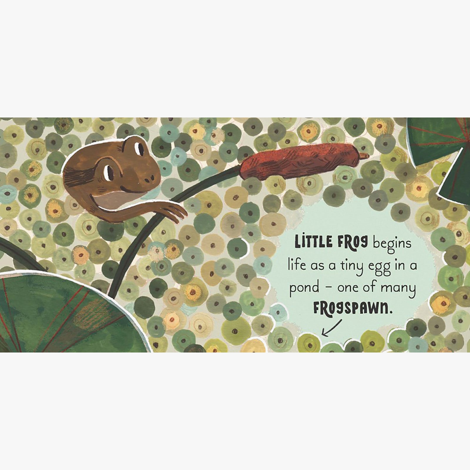 5 Minute Nature Story Box Board Book Set