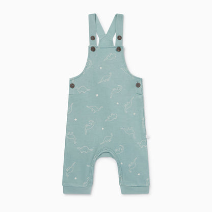 Dino Dungarees & Bodysuit Outfit