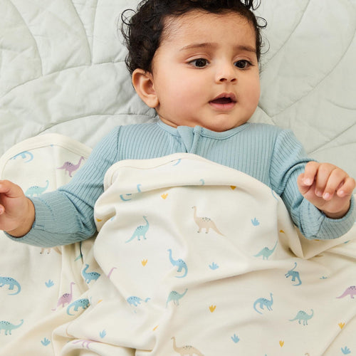 Dino Baby Blanket