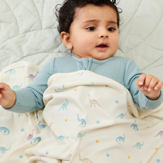 Dino Baby Blanket