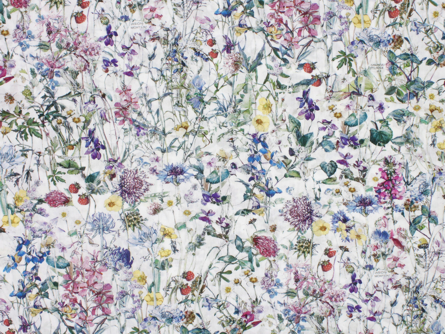 Liberty Fabrics - Wild Flowers A Tana Lawn™ Cotton