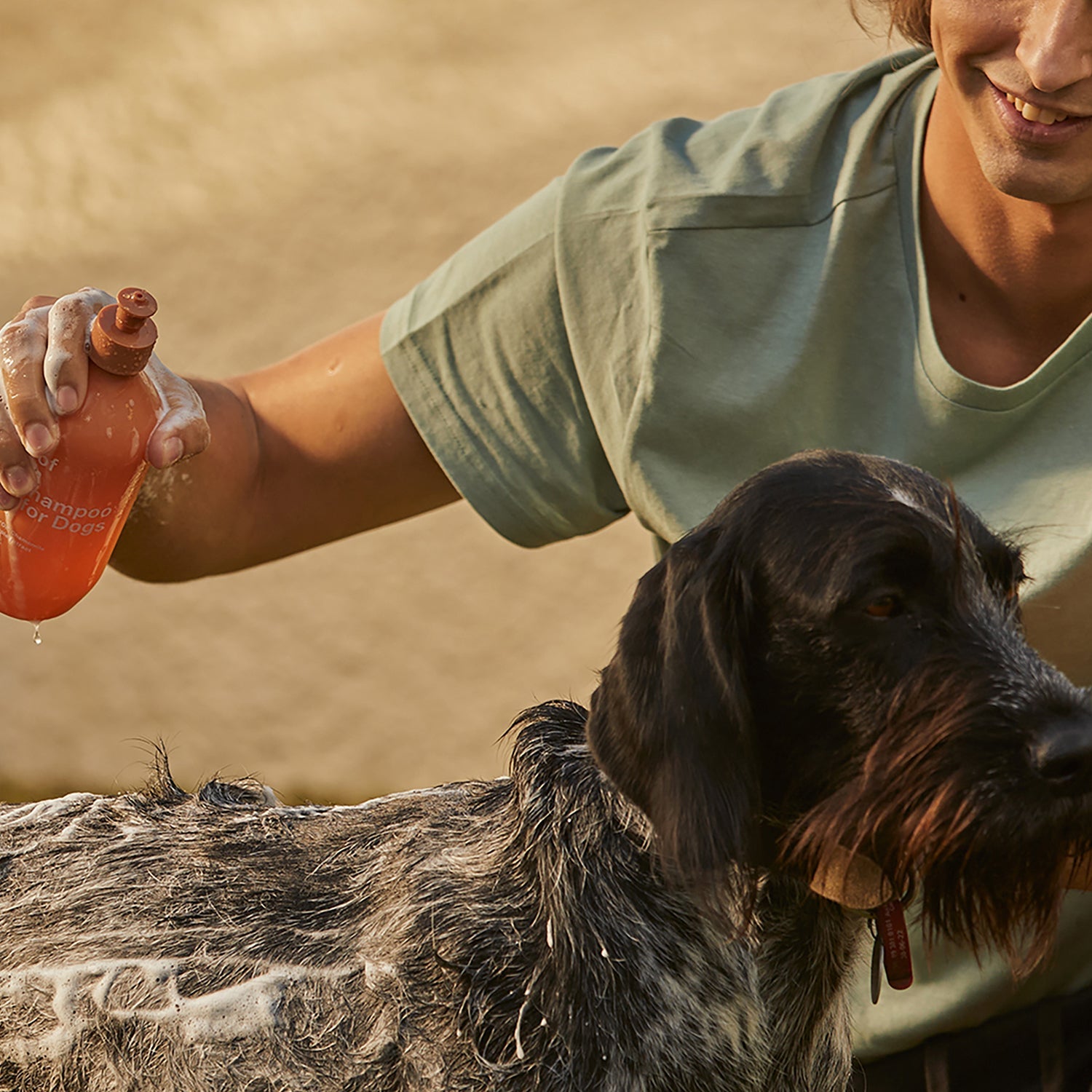 ashley + co | awoof wash dog shampoo