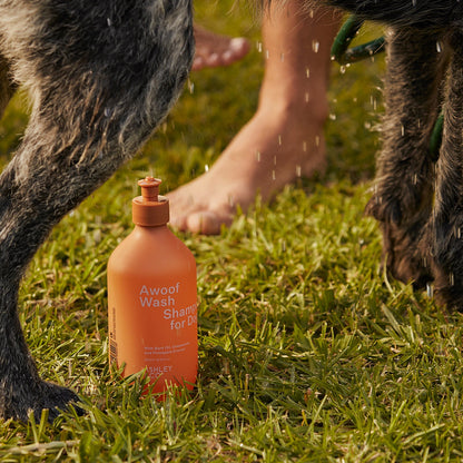 ashley + co | dog box grooming care set | awoof + ruffstar