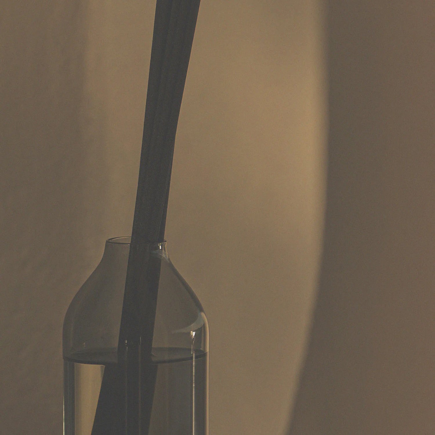 ashley + co | home perfume scent diffuser | tui + kahili