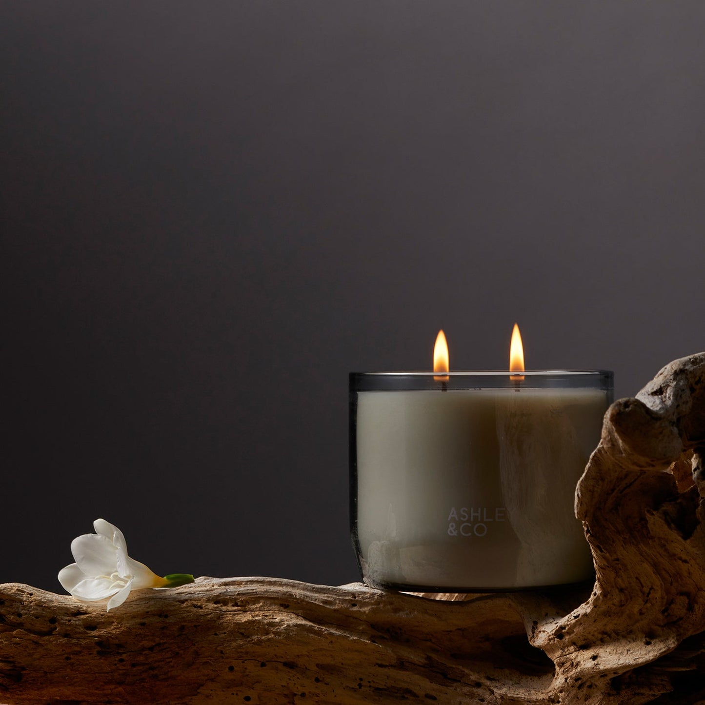 ashley + co | waxed perfume scented XL candle | tui + kahili