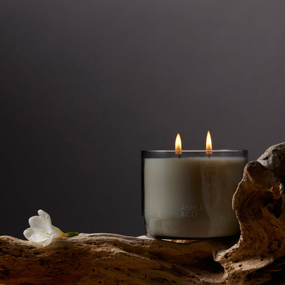 ashley + co | waxed perfume scented XL candle | tui + kahili