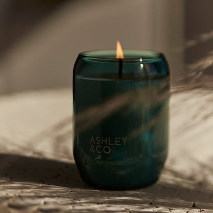 ashley + co | waxed perfume scented outdoor candle | tui + kahili + citronella