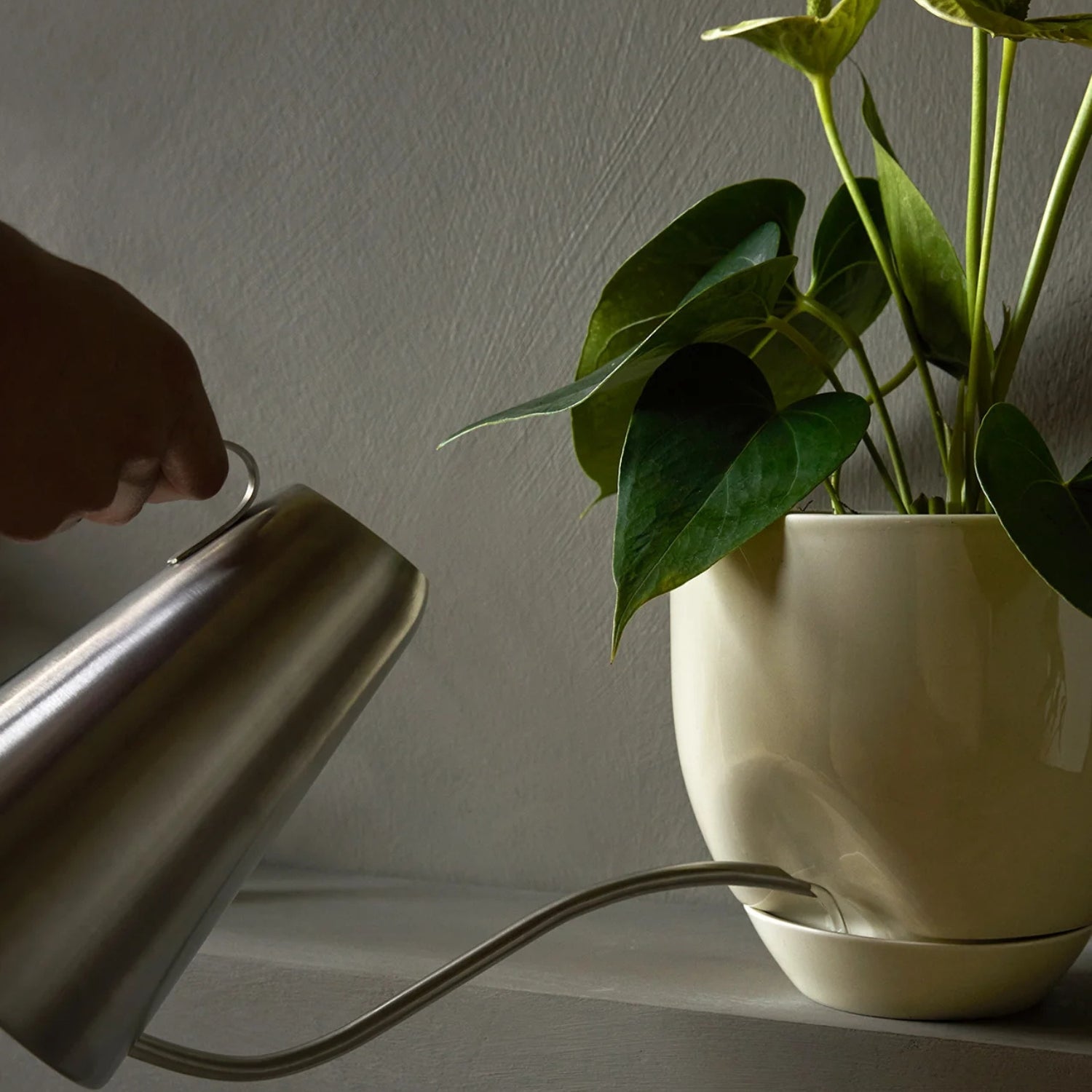 audo copenhagen (menu) | hydrous planter 12cm | ashen