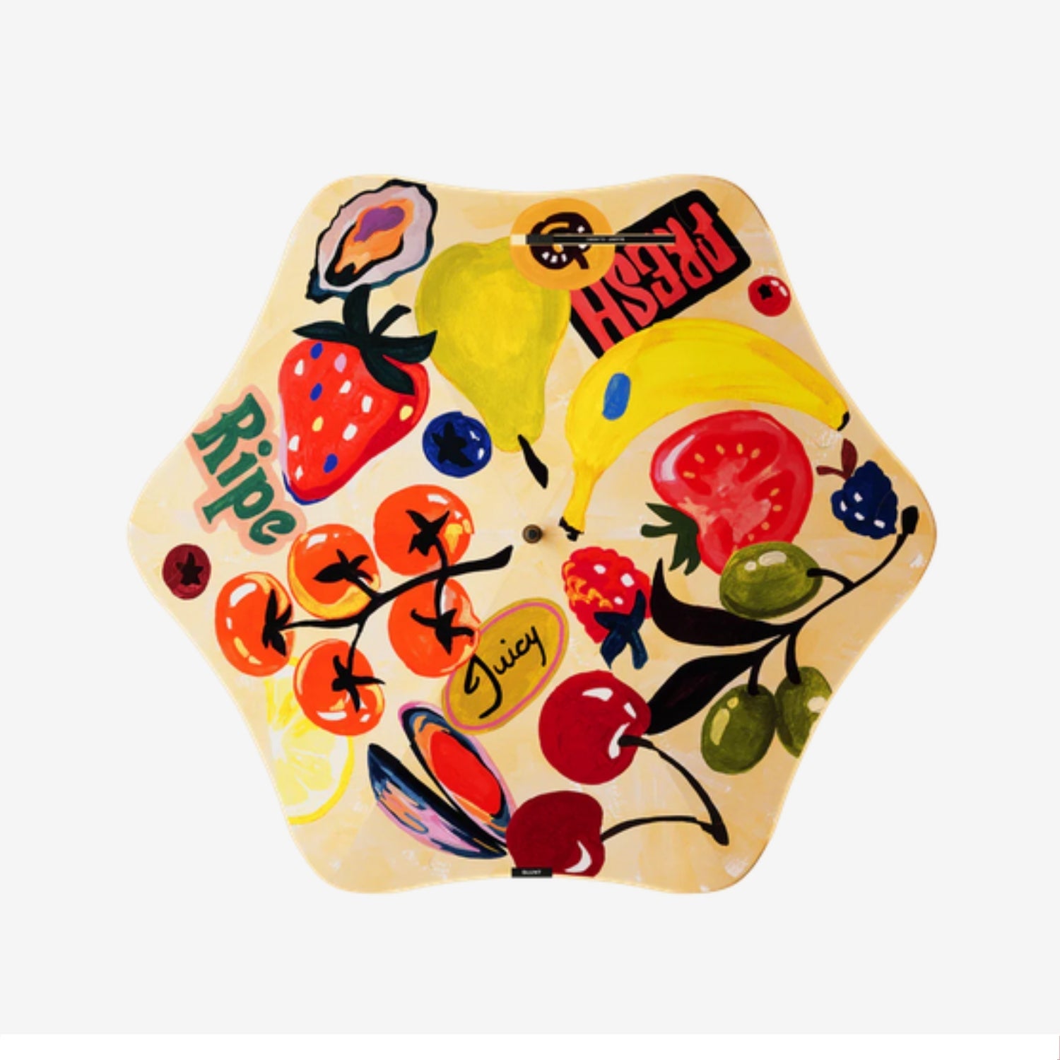 blunt | classic umbrella | studio bon - limited edition