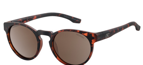 DIRTY DOG -  BROWN POLARISED  /  SATIN TORT