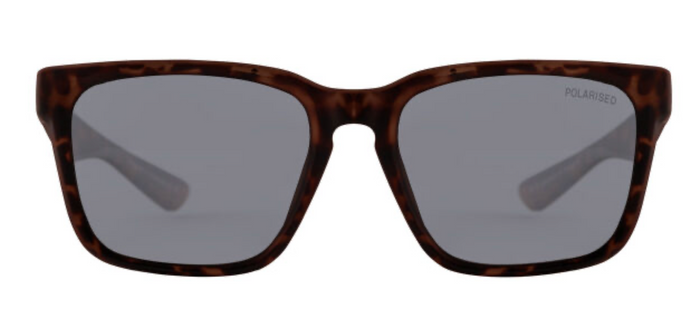 DIRTY DOG - GREY POLARISED  / DARK SATIN TORT