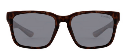 DIRTY DOG - GREY POLARISED  / DARK SATIN TORT