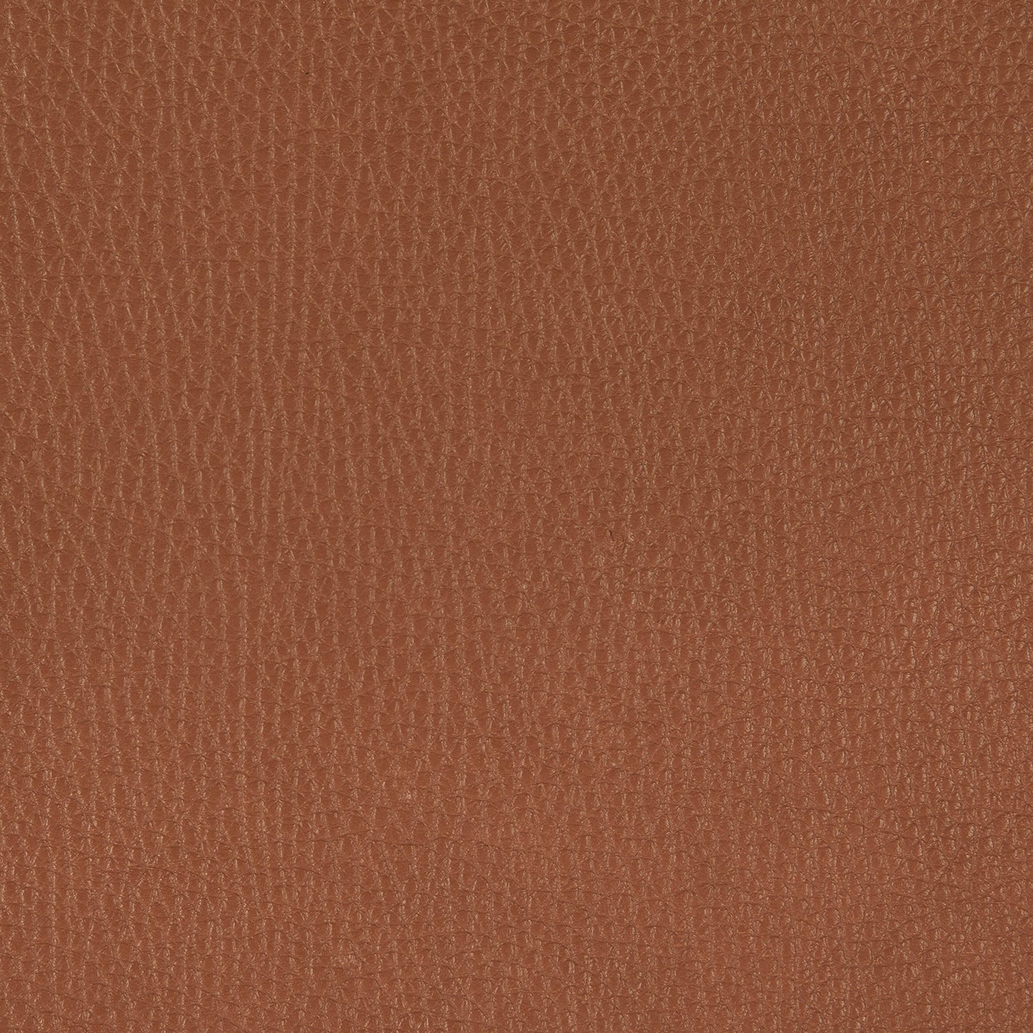 freifrau | leya lounge chair | wire frame | cairo cognac leather
