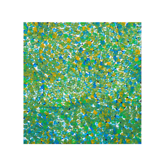 galya pwerle | original artwork | awelye atnwengerrp - ID40935
