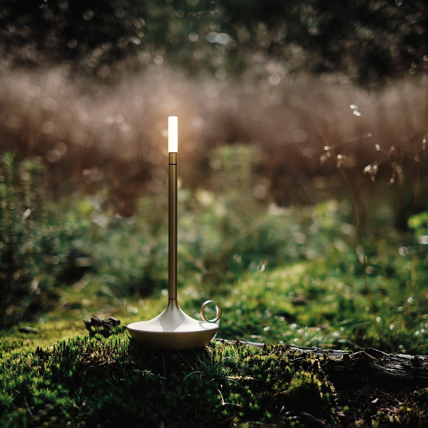 graypants | wick portable table lamp | brass 26cm