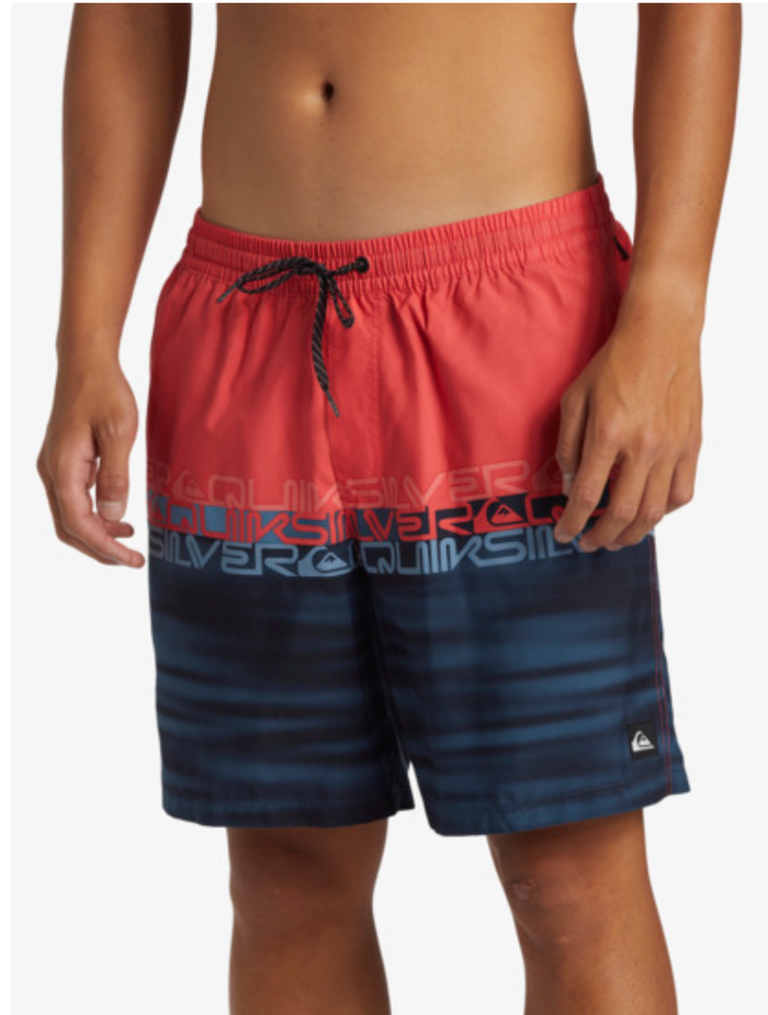 Quiksilver Everyday Wordblock Volley 17" - Swim Shorts For Men