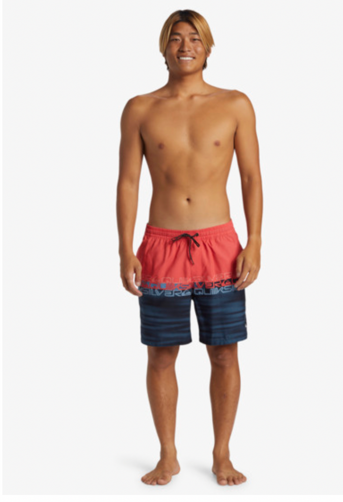 Quiksilver Everyday Wordblock Volley 17" - Swim Shorts For Men